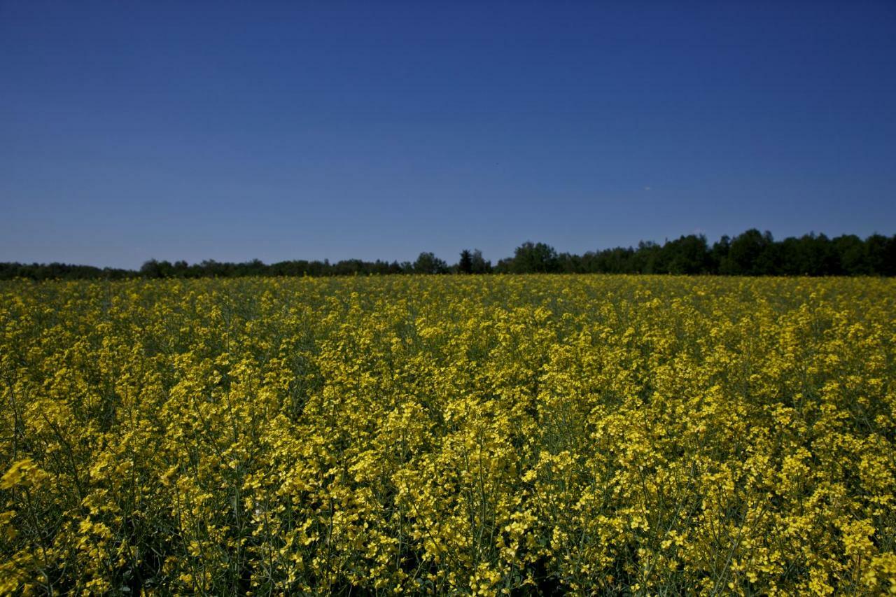 Agroturystyka Wichrowe Wzgorze Osiek  Exterior foto